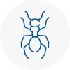 Ant Removals In Biggleswade