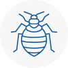 Bed Bug Extermination In Biggleswade