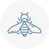 Bee Nest Removal Biggleswade