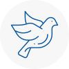 Bird Prevention Biggleswade