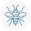 Biggleswade Hornet Nest Removals