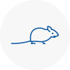 Mice Exterminators In Biggleswade