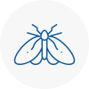 Moth Control Specialists In Biggleswade
