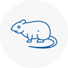 Rat Control Biggleswade