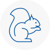 Biggleswade Rodent Removals